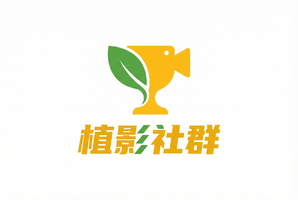 每日大赛